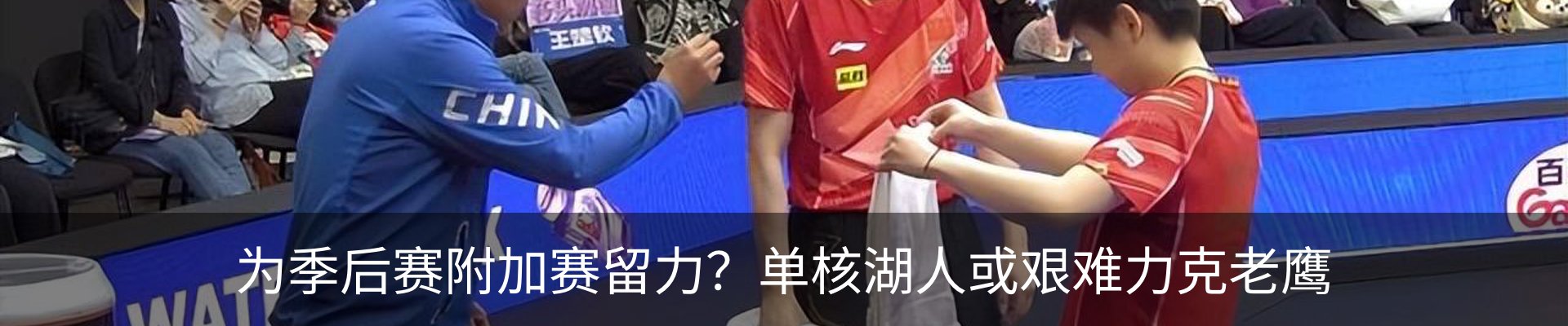 最新动态